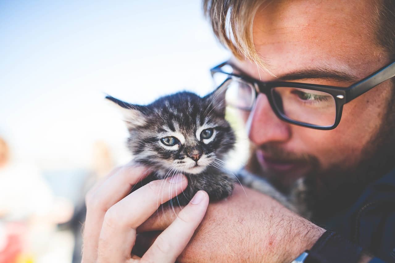 Best Cat Name Ideas – 30 Most Popular Male & Female Cat Names For 2019