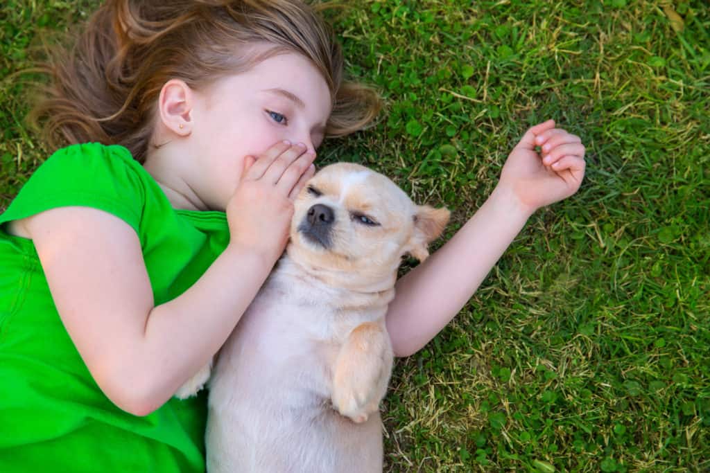 Is Your Dog An Empath?