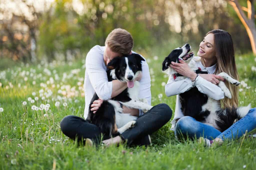 How Pets Can Reduce Your Stress