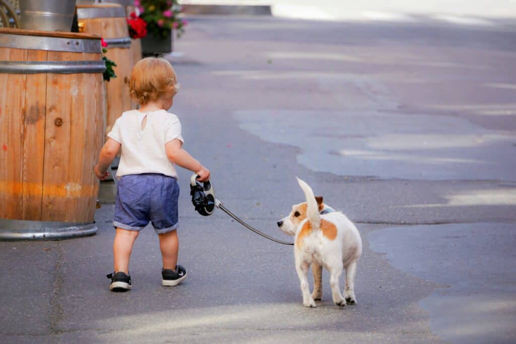 Maximizing Health Benefits: The Importance of Regular Dog Walks