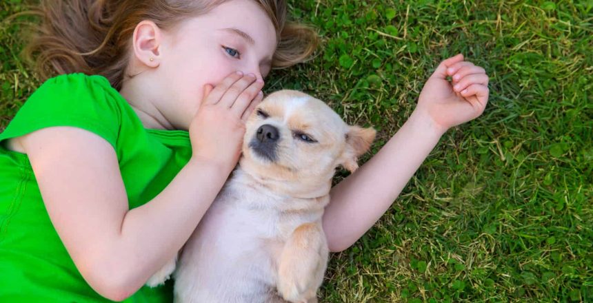 Is Your Dog An Empath?