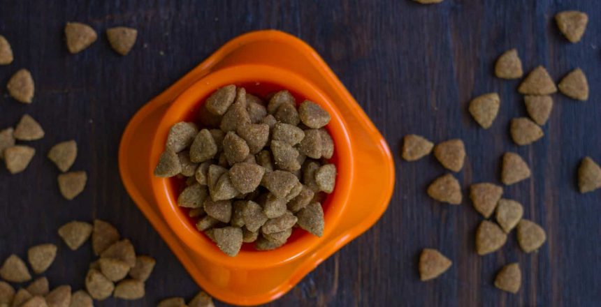The Dangers Of Cheap Pet Food