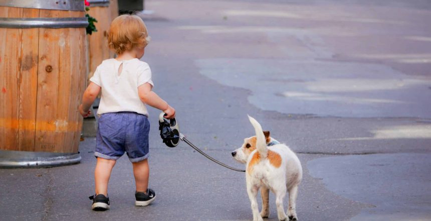 Maximizing Health Benefits: The Importance of Regular Dog Walks